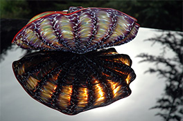 Barnacle Art Glass Nesting Sets by Robert Kaindl