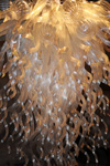 Four Seasons Hotel Beverly Hills Los Angeles California Chandeliers